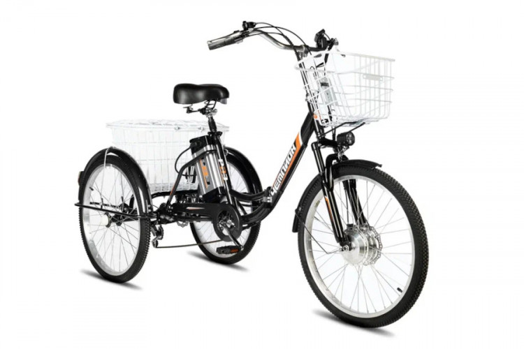 Электровелосипед РВЗ Чемпион 24 складной в Кургане