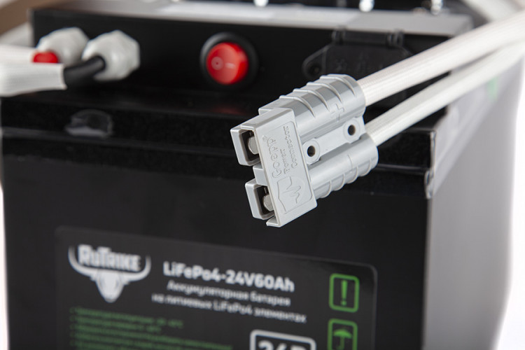 Тяговый железо-фосфатный аккумулятор RuTrike LiFePO4 60V48Ah (60А) в Кургане