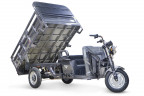 Грузовой электрический трицикл RuTrike D4 NEXT II в Кургане