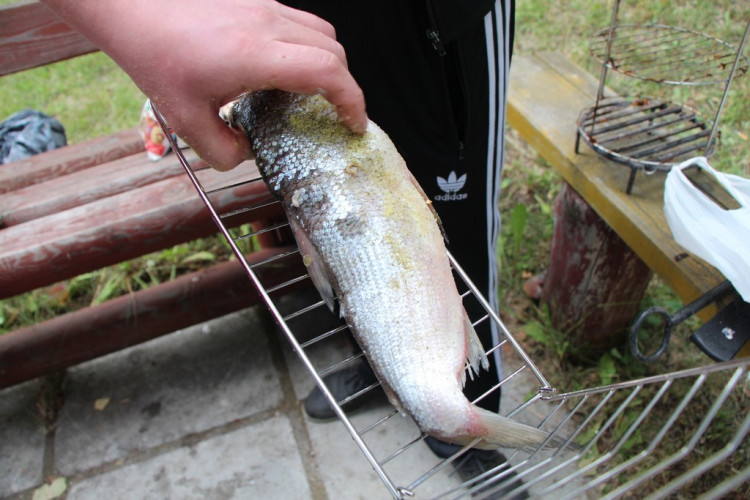 Решетка для рыбы в Кургане