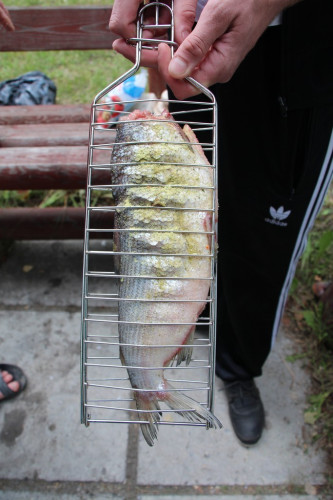 Решетка для рыбы в Кургане