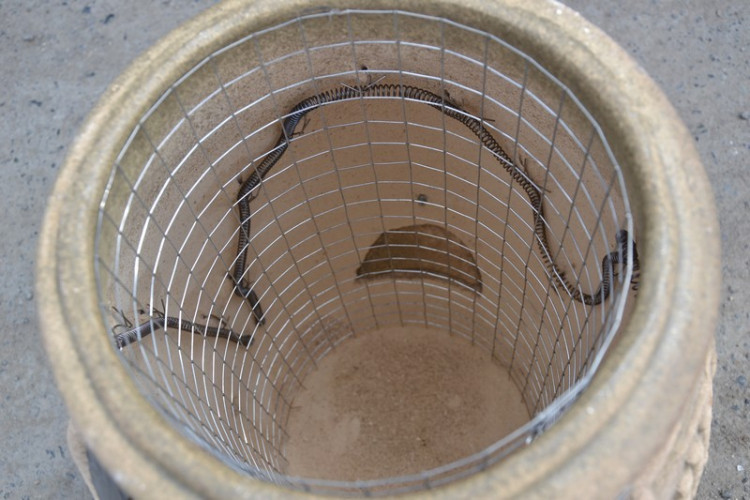 Тандыр Электрический Малый в Кургане