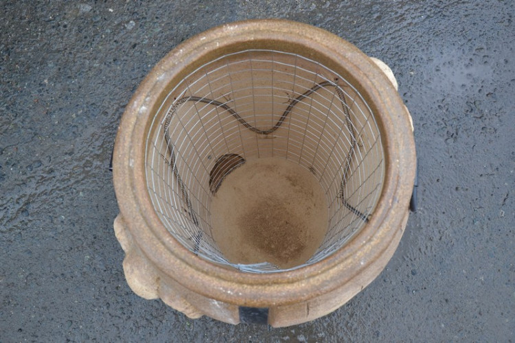 Тандыр Электрический Баран в Кургане