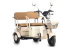 Пассажирский электротрицикл Rutrike Gelbert Atlas в Кургане