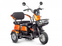 Электротрицикл Rutrike Gelbert Caf в Кургане