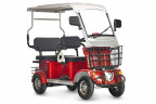 Пассажирский электротрицикл Rutrike Gelbert Hara в Кургане