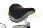 Электровелосипед Benelli Goccia 22 в Кургане