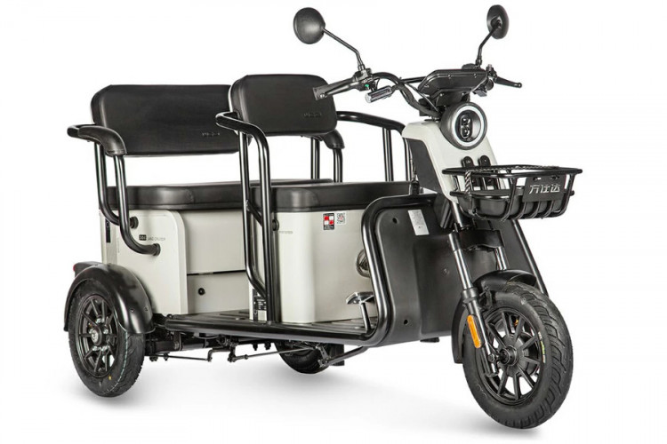 Пассажирский электротрицикл Wanshida LC300 в Кургане