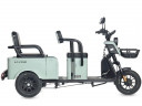 Пассажирский электротрицикл Wanshida LC-F150 в Кургане