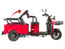 Пассажирский электротрицикл Wanshida LC-F200 в Кургане