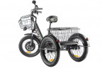 Электрофэтбайк Eltreco Green City e-ALFA Trike в Кургане
