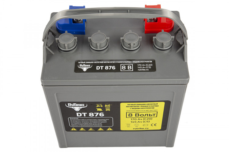 Тяговый аккумулятор RuTrike WET DT876 (T-875) 8V120A/H C3 в Кургане