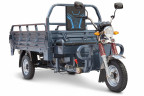 Грузовая электрическая тележка Rutrike Титан 2000 Гидравлика в Кургане
