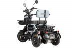 Электротрицикл Wanshida UN MOTO в Кургане