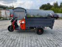 Грузовой электрический трицикл Pаntеrа Гидрaвлика 75V1500W в Кургане