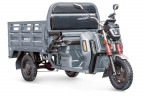 Грузовой электрический трицикл Rutrike Антей Pro 1500 в Кургане