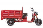 Грузовой электрический трицикл Rutrike Антей Pro 1500 в Кургане